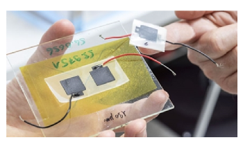 Biodegradable Mini-Capacitor Could be Used in the Internet of Things