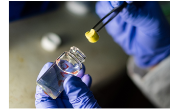 New Chemical Process Creates Light and Highly Absorbent Aerogels