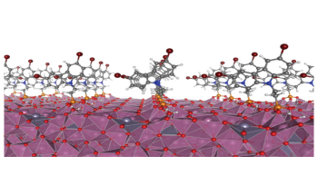 Electrode Coating can Significantly Improve the Performance of Organic Solar Cells