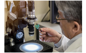 Researchers Develop Bio-Based Industrial Filter from Bath Sponge