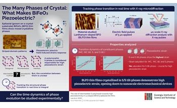 Squeeze the Shock Out: What Different Phases of Piezoelectric Materials Tell Us