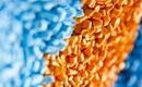Plastics Could be Broken Down by the Bacteria in Cow Stomachs
