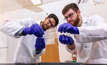 Researchers Produce Biodegradable Films from Agricultural Residues