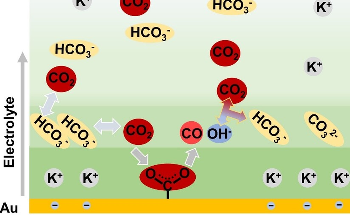 New Study Could Help Advance Electrocatalytic Reduction of CO2