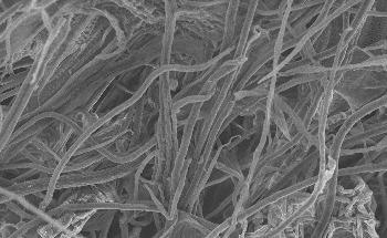 Argonne Scientists to Lead DOE-Funded Research Projects in Microelectronics