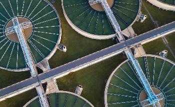 Sustainable Water Treatment System Inspired by Nature