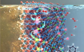 Radicalized NOX Derivatives Supported on Metal Oxides Used to Purify Water