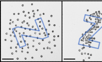 Researchers Attempt to Replicate Natural Process Involved in Creating Complex Structures