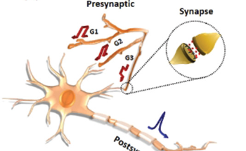 Transistors with Fibrous Architecture can be Used as Artificial Neural Networks