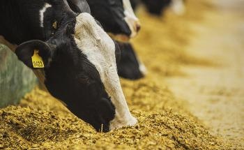 Si-Ware™ Systems and Dairyland Laboratories Partner to Launch In-Field Dairy Feed Analysis Solution