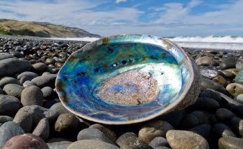Scientists Develop New Glass Material with Plastic-Like Resilience
