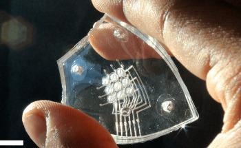 Inflatable Braille Technology Changes Shape Under User’s Touch