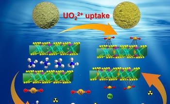 Layered Manganese Thiophosphate Intercalated with NH4+ can Separate U(VI) from Complex Solutions