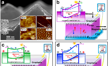 Multiferroic Materials to Enhance Solar Cell Efficiency