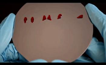 New Coating Allows Certain Liquids to Move Across Surfaces Without Fluid Loss