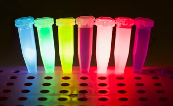 Fluorescent Dye Molecules Tethered to Polymers can Store Digital Data