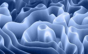Shape-Morphing Natural Materials Printed Digitally