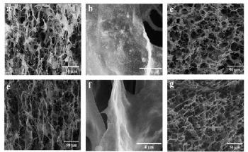 Graphene Dotted Biobased Carbon Aerogels