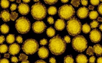 Potential of NMR Spectroscopy for Microalgae Analysis Revealed