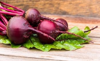 Green Synthesis of Silver Nanoparticles Using Beetroot Extract