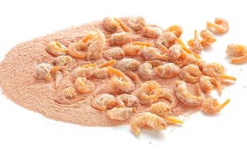 Making Green Food Packaging from Seafood Industry Waste