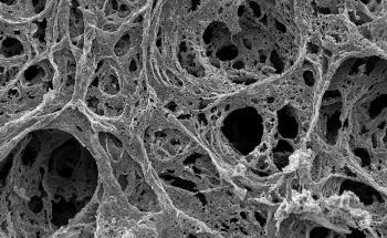 How Best to Fabricate Porous Biomaterials