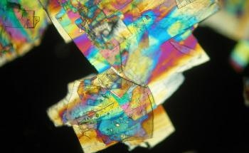 Liquid Crystals in 4D Additive Manufacturing