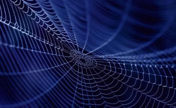 Spider Silk Inspired Self-Healable Thin Films