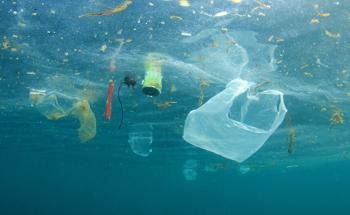 Producing Blue Diesel from Marine Plastics with Hydrothermal Liquefaction