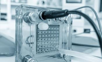Effect of Catalyst Ink Composition on Fuel Cell Performance