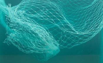 New Initiative to Create Bioplastics Made for Marine Degradation