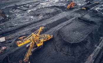 Researchers Uncover New Mechanism Behind Coal Creation