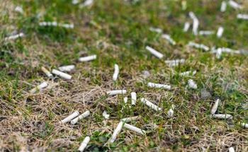 Absorbing Oil with Cellulose-Based Foam from Waste Cigarette Filters