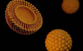 Smart Drug Delivery Using Magneto-Activated Materials