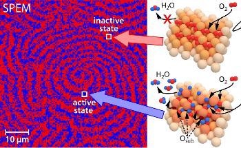 Surprising Discovery Reveals Catalysts in Two Different States at the Same Time
