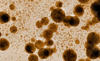 Green Graphene-Gold Nanocomposite: Superior Antioxidant Activity