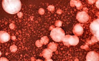New Study Sheds Light on the Properties of Protein-RNA Droplets