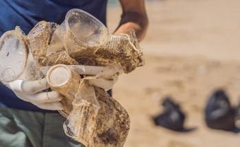 The Significance of Citizen Science Projects in Regard to Plastic Pollution
