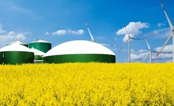 Cycloaddition of CO2 into a Biogas Upgrader for Epoxides
