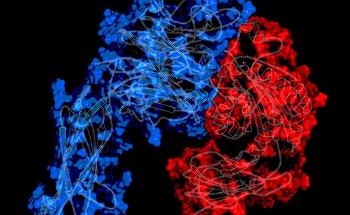 Biomaterial Fabrication to Control Spatial Distribution of Integrins
