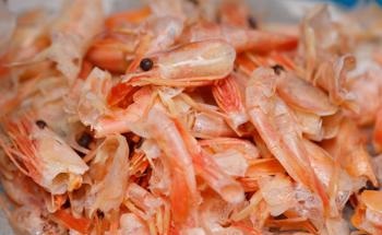 A Liquid Chitosan-Based Biocoagulant for Treating Wastewater from Fish Processing Plants