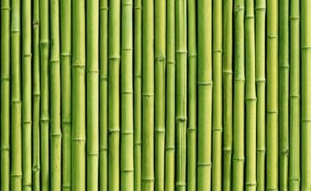 Doped Carbon from Bamboo in Supercapacitors Material