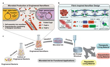 3D Printed Bioink Produced from Genetically Engineered Microbial Cells