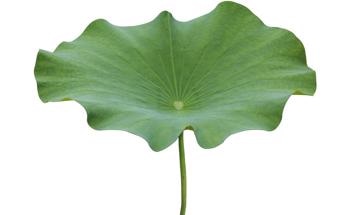 Superhydrophobic Composite for Multiple Industrial Uses