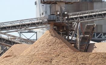 Lignin-Carbohydrate Complexes from Pulp Mill Effluent Turned into Valuable Biopolymers