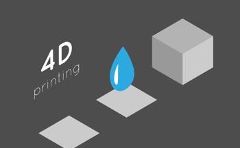 Computer-Aided 4D-Fabricated Photonic Devices Including Fresnel Lenses