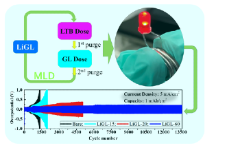 Novel Li-Containing Polymeric Material Could Help Commercialize Li Metal Anodes
