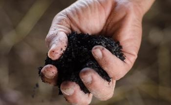 Applying Biochar to Soil: Overview of Carbon Sequestration