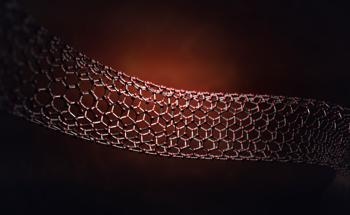 Investigation of New Carbon Nanostructures from Combustion Synthesis