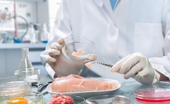 Creating Meat Alternatives with a 3D Printer and Plant-Based Ingredients
